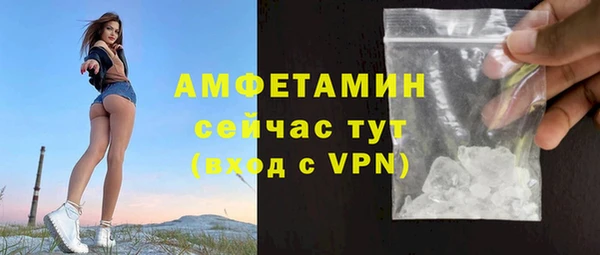 метадон Алексин