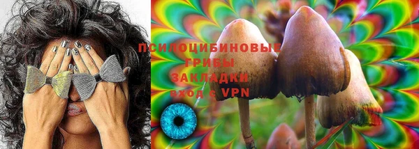 метадон Алексин