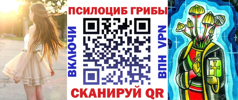 купить наркоту  Дедовск  Галлюциногенные грибы MAGIC MUSHROOMS 